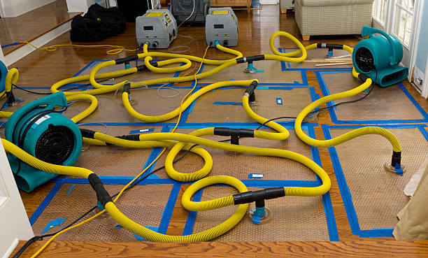 Professional Water Damage Restoration technician working in East Springfield, PA